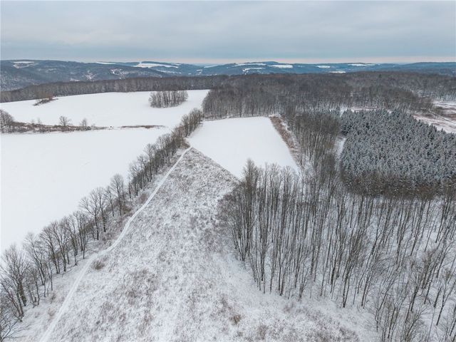 1870 Reiman Road, Greenwood, NY 14839