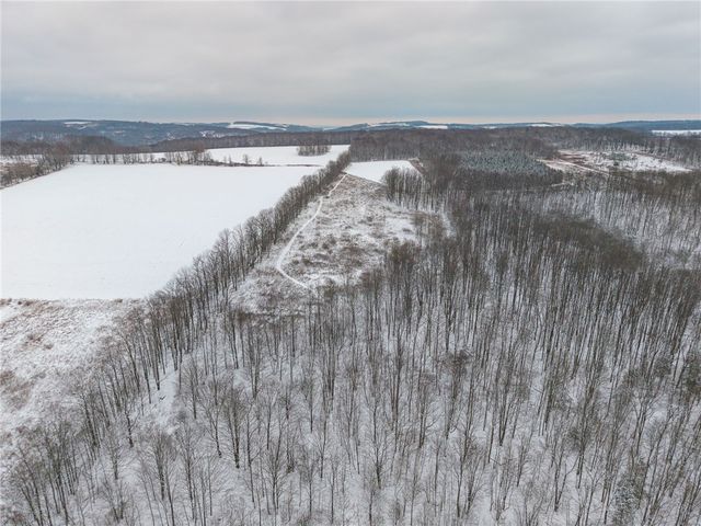 1870 Reiman Road, Greenwood, NY 14839