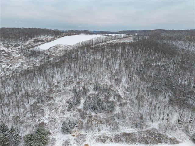 1870 Reiman Road, Greenwood, NY 14839