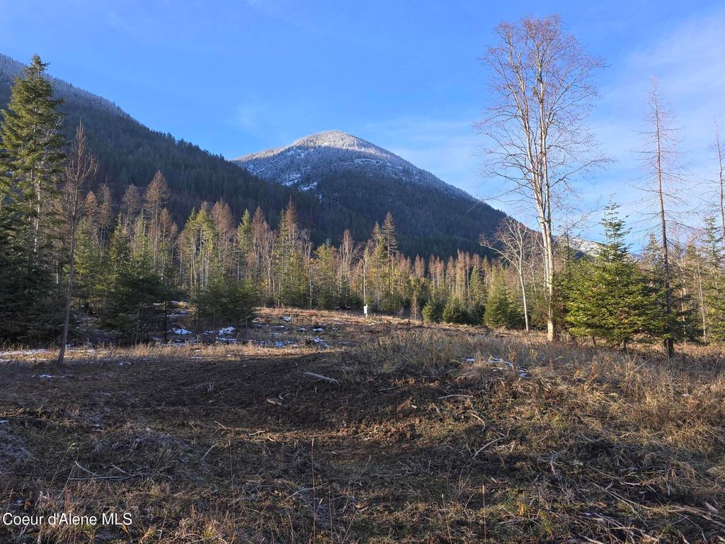 NNA WEST SIDE RD PARCEL 2, Bonners Ferry, ID 83805