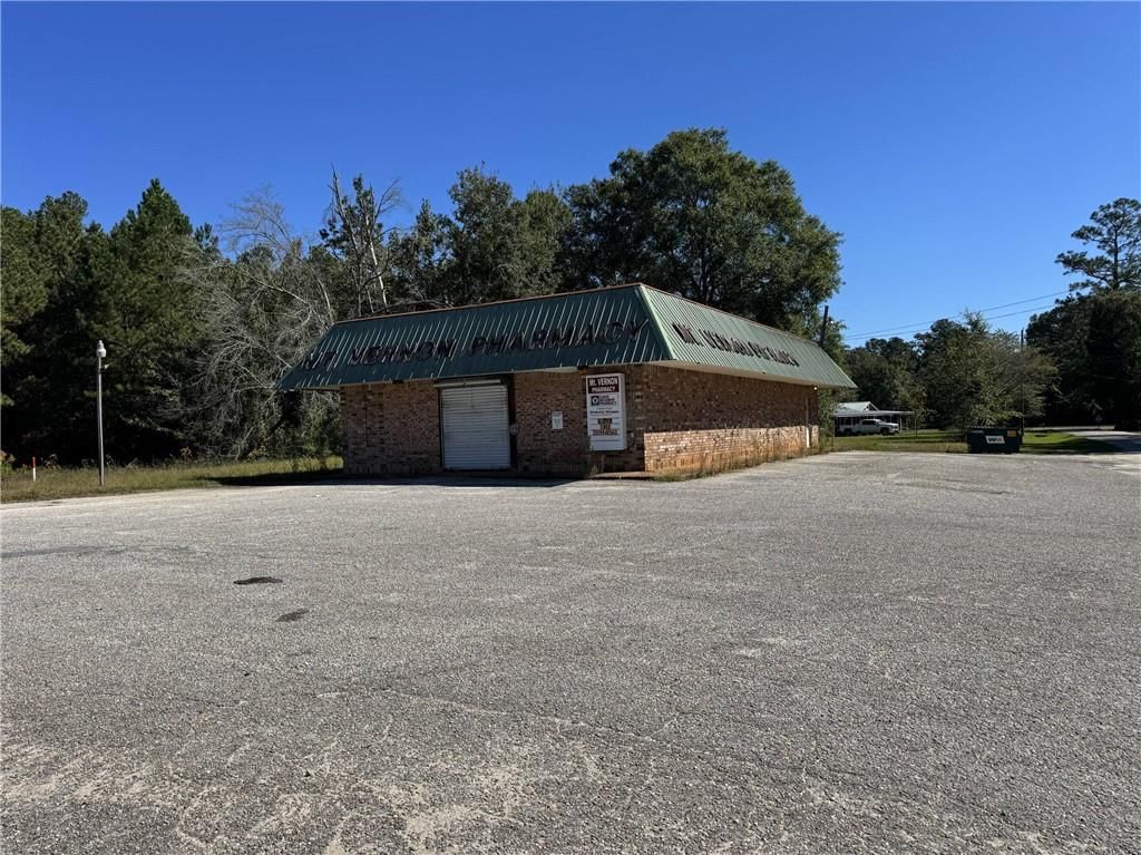 19390 Highway 43, Mount Vernon, AL 36560 — photo 3
