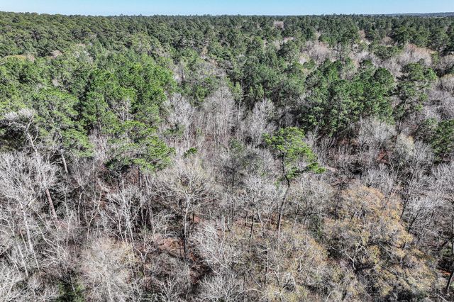 76 Wagon Pass, Huntsville, TX 77340