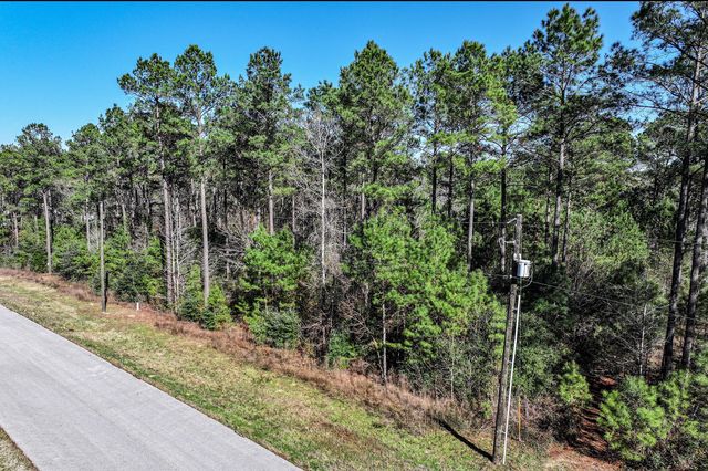 76 Wagon Pass, Huntsville, TX 77340