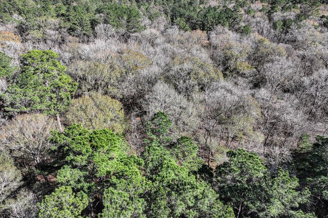 76 Wagon Pass, Huntsville, TX 77340