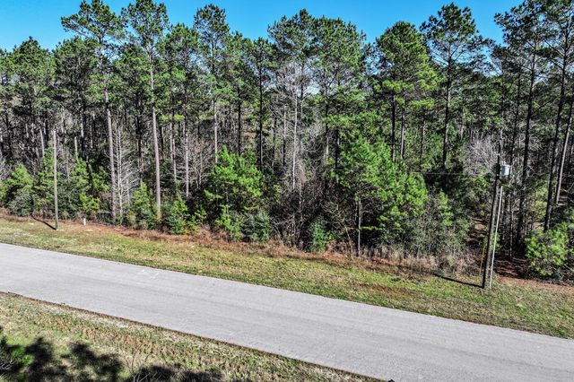 76 Wagon Pass, Huntsville, TX 77340