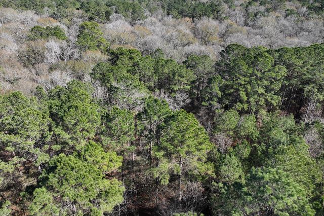 76 Wagon Pass, Huntsville, TX 77340