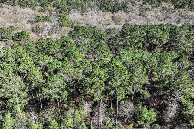 76 Wagon Pass, Huntsville, TX 77340