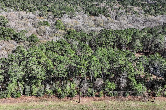 76 Wagon Pass, Huntsville, TX 77340