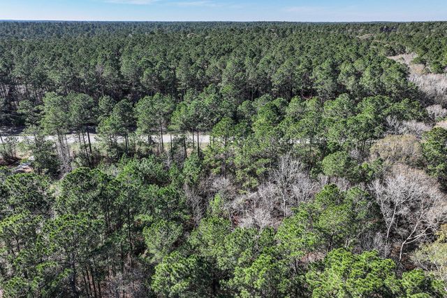 76 Wagon Pass, Huntsville, TX 77340