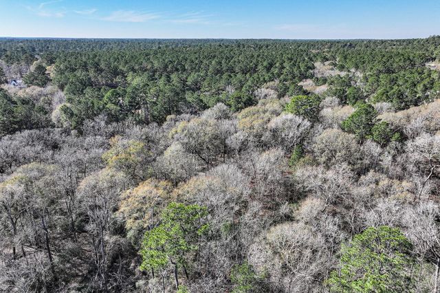 76 Wagon Pass, Huntsville, TX 77340