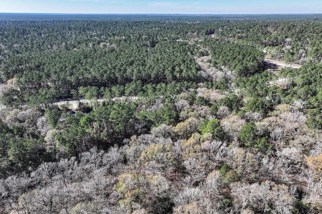 76 Wagon Pass, Huntsville, TX 77340