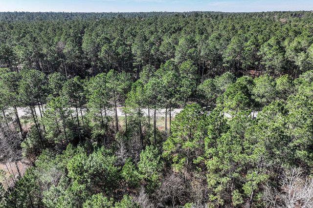 76 Wagon Pass, Huntsville, TX 77340