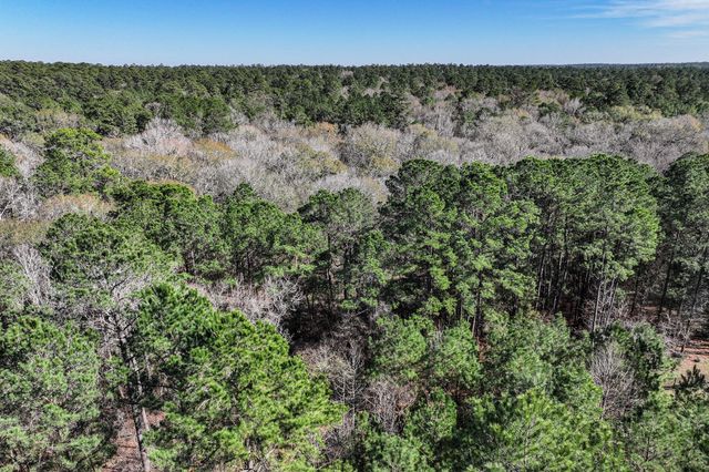 76 Wagon Pass, Huntsville, TX 77340