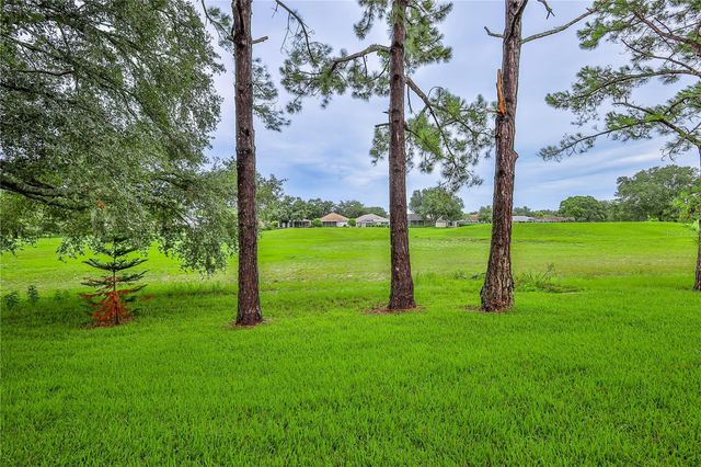 14459 STERLING RUN, Spring Hill, FL 34609