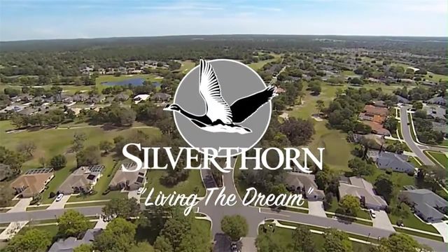 14459 STERLING RUN, Spring Hill, FL 34609