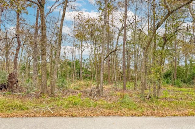 Lot 183 Maple Lane, Woodbranch, TX 77357