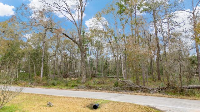 Lot 183 Maple Lane, Woodbranch, TX 77357