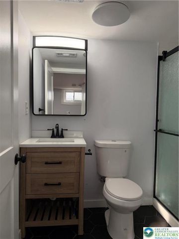 1233 Trapps Lane, Salisbury Twp, PA 18103