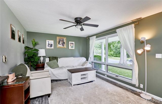 7 Myron Place, Troy, MO 63379