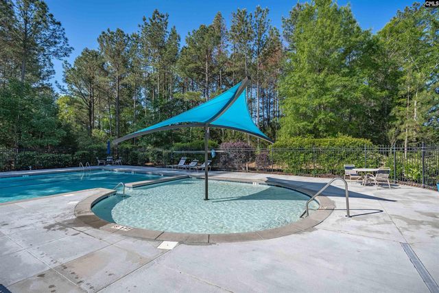 502 Eagles Rest Drive, Chapin, SC 29036