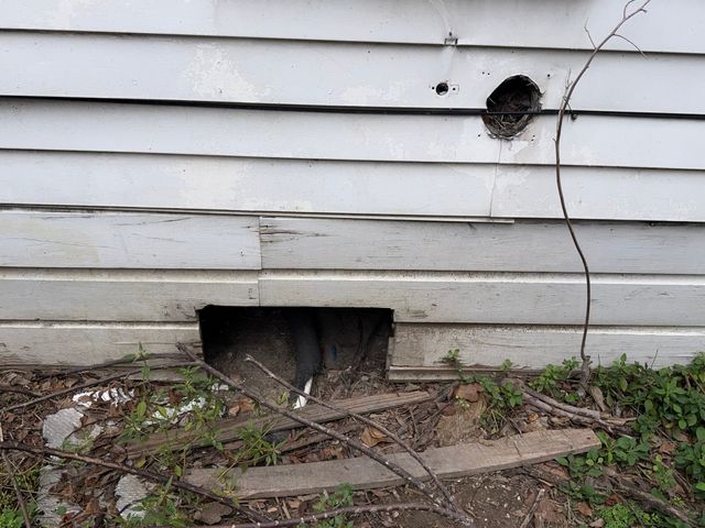 1418 E Overton Road, Dallas, TX 75216