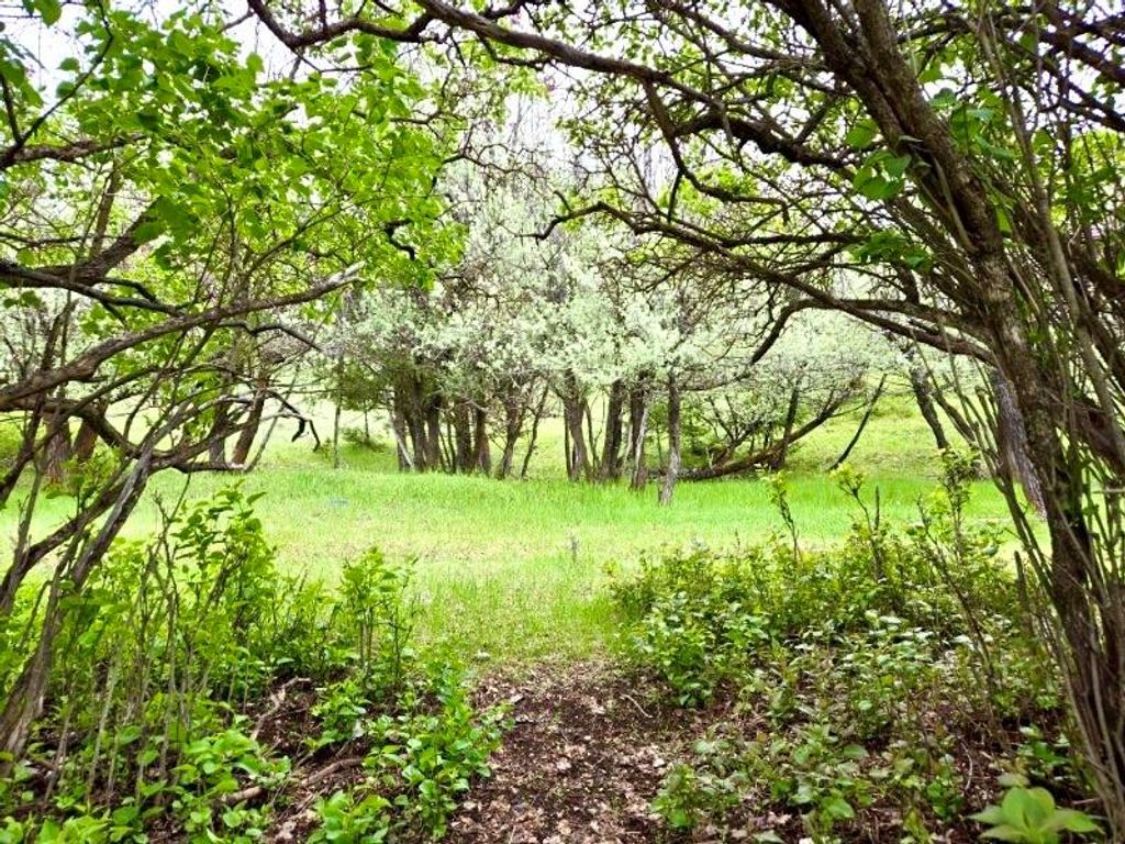 Nhn Ray Flanagan Lane, Eureka, MT 59917 photo 19