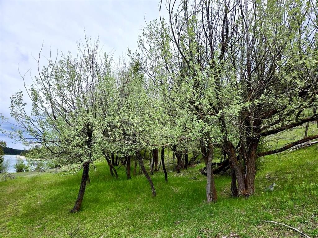 Nhn Ray Flanagan Lane, Eureka, MT 59917 photo 20