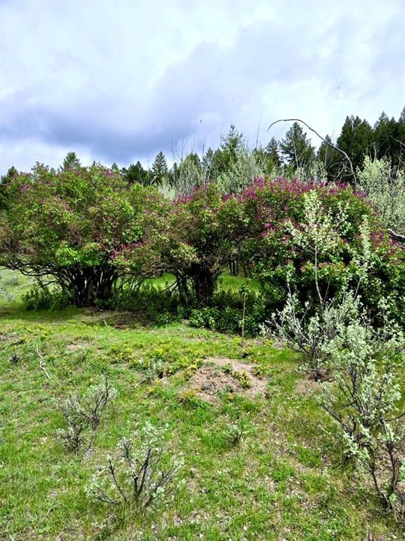 Nhn Ray Flanagan Lane, Eureka, MT 59917 photo 21