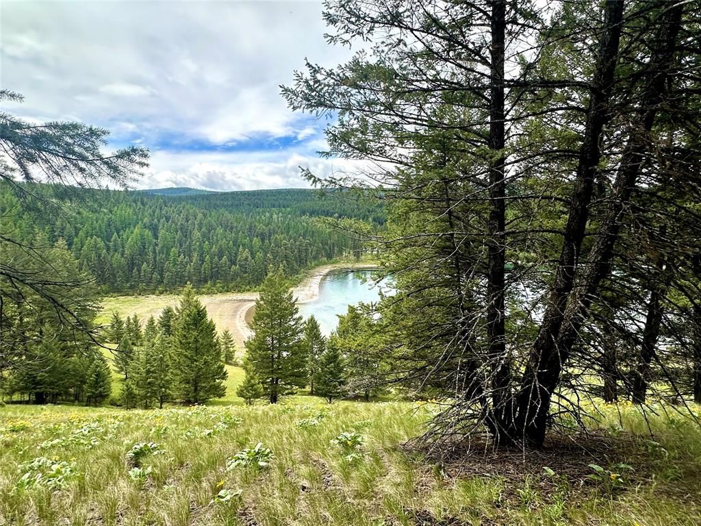 Nhn Ray Flanagan Lane, Eureka, MT 59917 photo 23