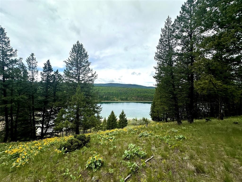 Nhn Ray Flanagan Lane, Eureka, MT 59917 photo 24