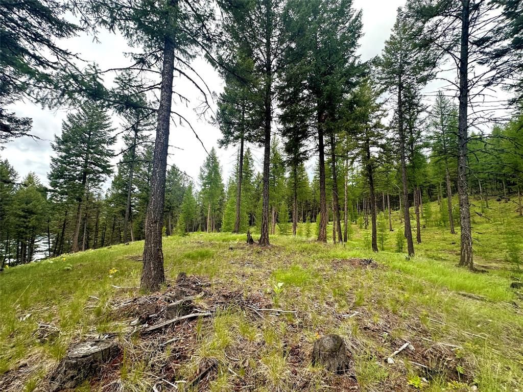 Nhn Ray Flanagan Lane, Eureka, MT 59917 photo 25