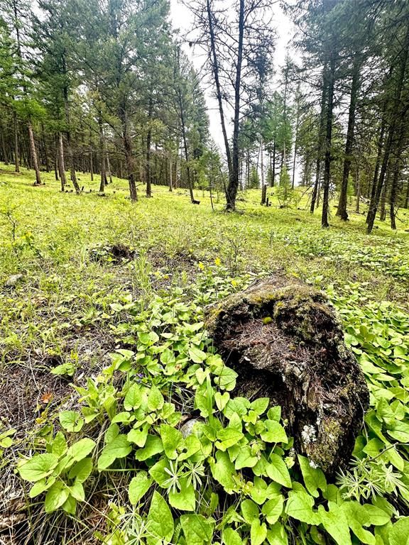 Nhn Ray Flanagan Lane, Eureka, MT 59917 photo 26