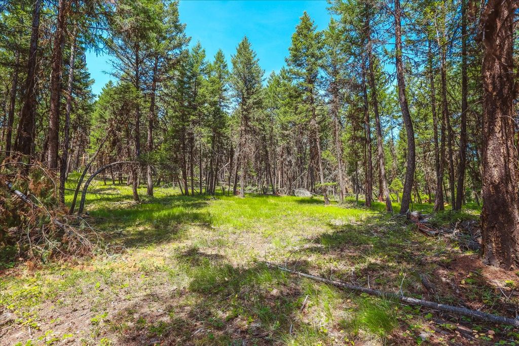 Nhn Ray Flanagan Lane, Eureka, MT 59917 photo 27