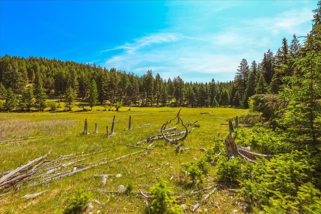 Nhn Ray Flanagan Lane, Eureka, MT 59917 photo 29