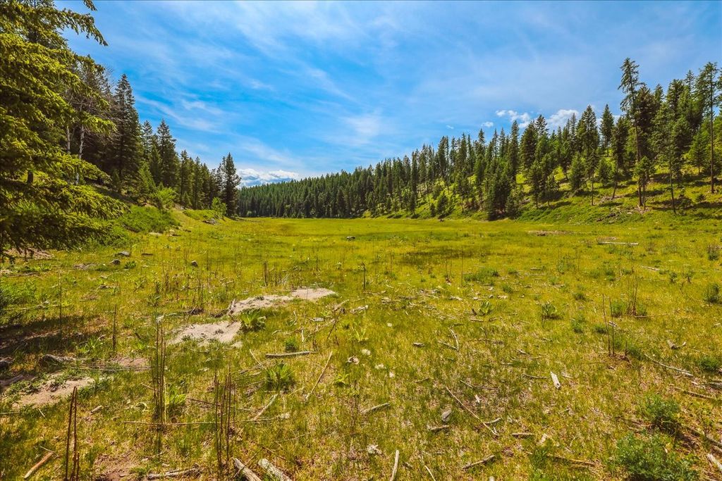 Nhn Ray Flanagan Lane, Eureka, MT 59917 photo 31