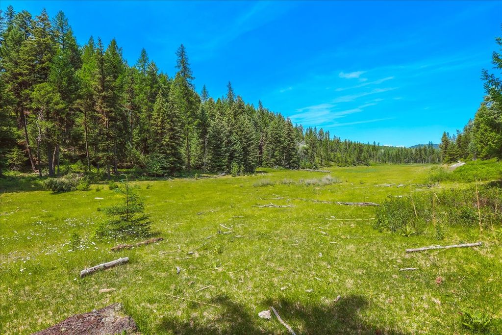 Nhn Ray Flanagan Lane, Eureka, MT 59917 photo 32