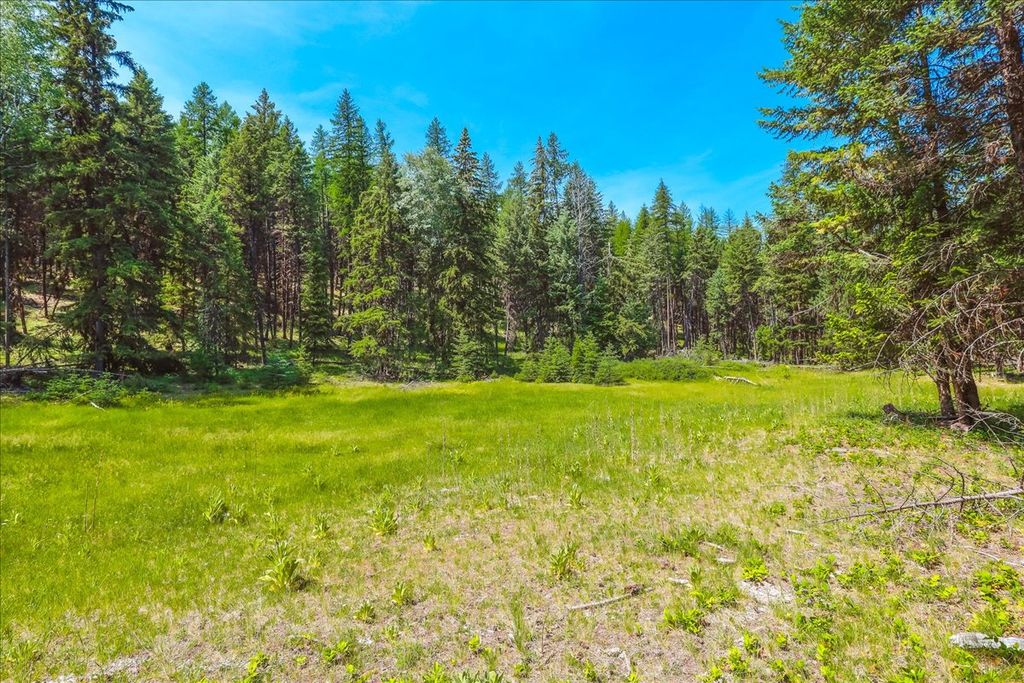 Nhn Ray Flanagan Lane, Eureka, MT 59917 photo 34