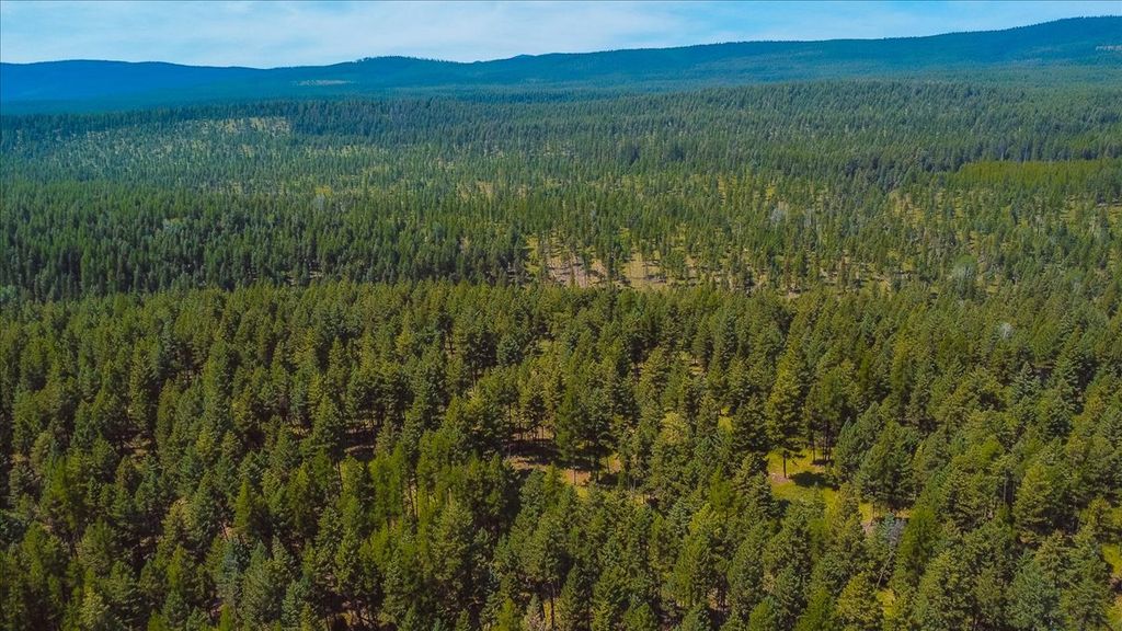 Nhn Ray Flanagan Lane, Eureka, MT 59917 photo 43