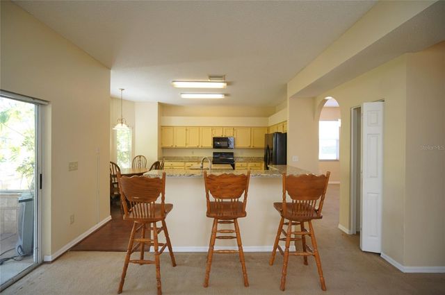 10905 CAPSTAN LAKE DRIVE, Riverview, FL 33579