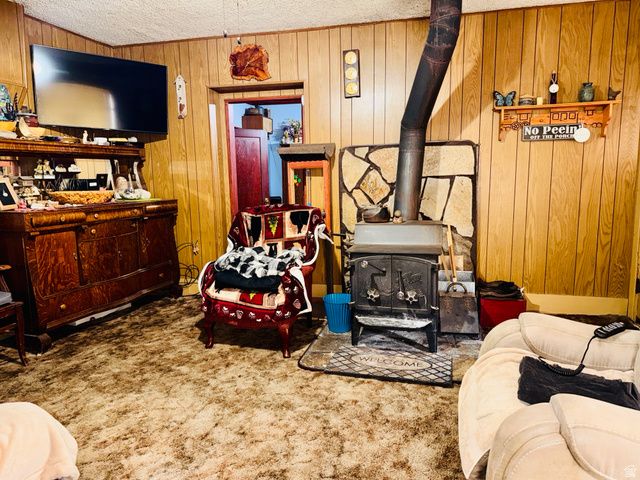 393 W CENTER ST, Springville, UT 84663