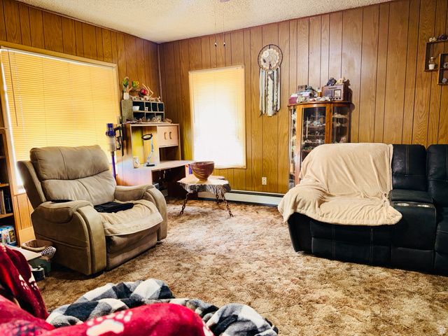 393 W CENTER ST, Springville, UT 84663