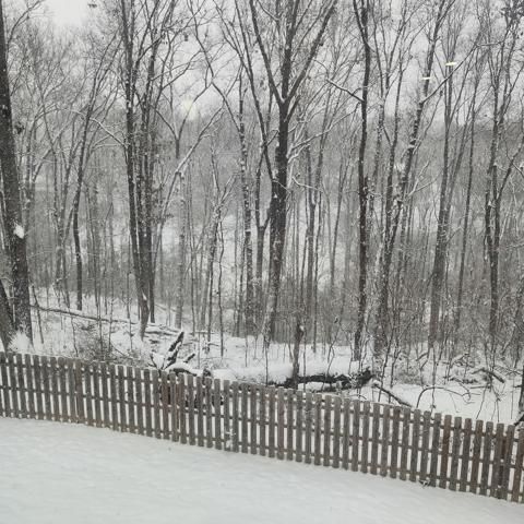 1809 Colonial Shores Drive, Hixson, TN 37343