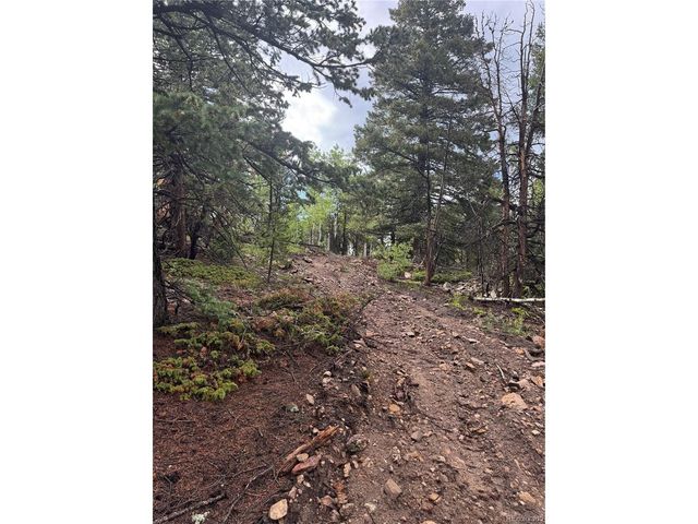 1 Church Placer Rd, Central City, CO 80427