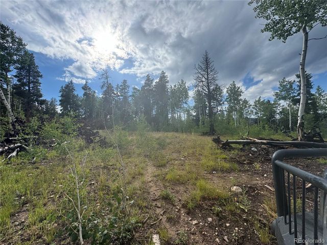 1 Church Placer Rd, Central City, CO 80427