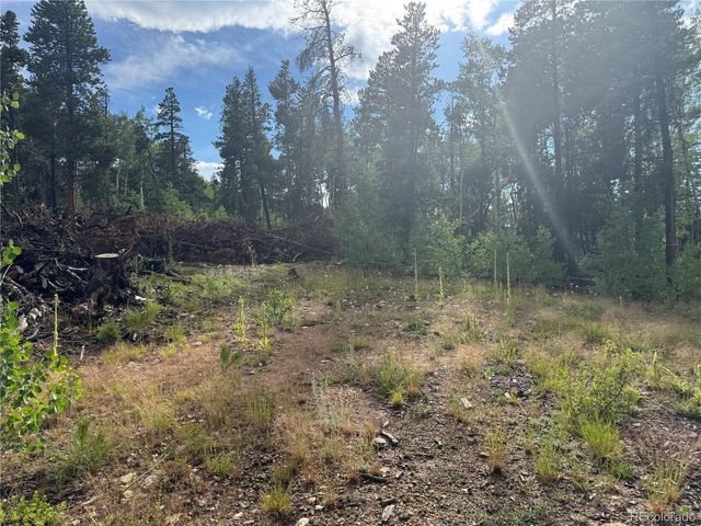 1 Church Placer Rd, Central City, CO 80427