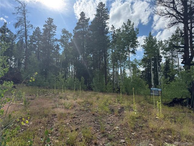 1 Church Placer Rd, Central City, CO 80427