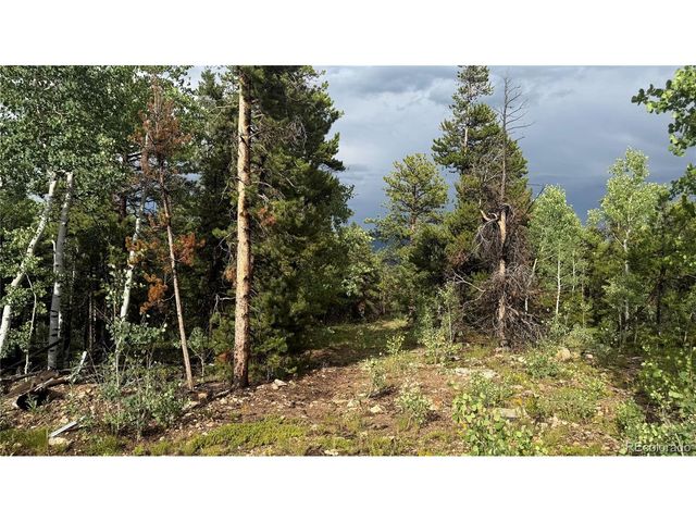 1 Church Placer Rd, Central City, CO 80427