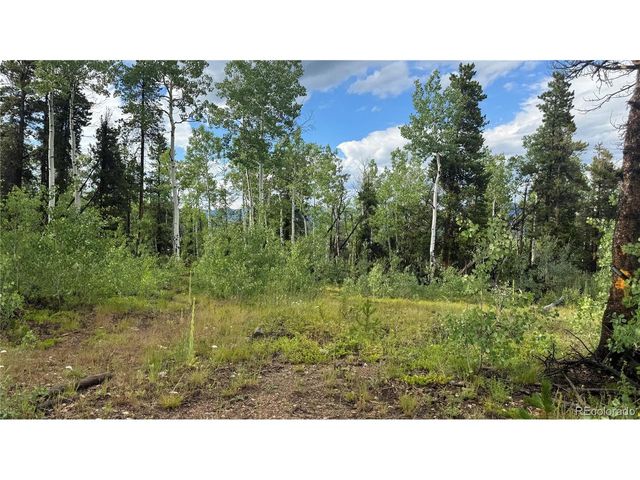 1 Church Placer Rd, Central City, CO 80427