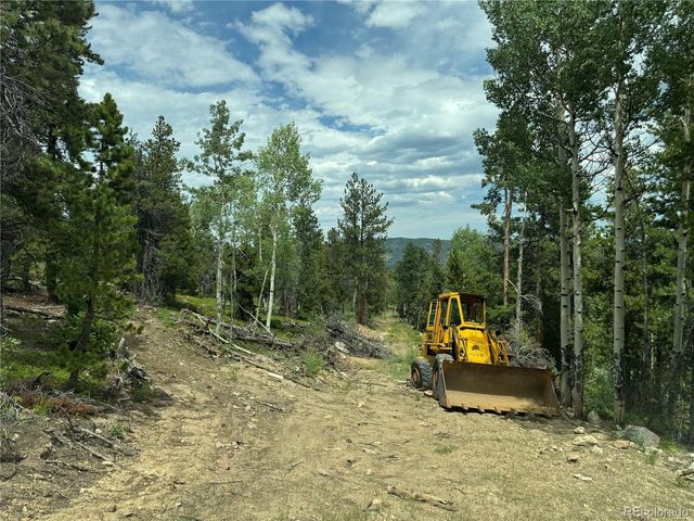 1 Church Placer Rd, Central City, CO 80427
