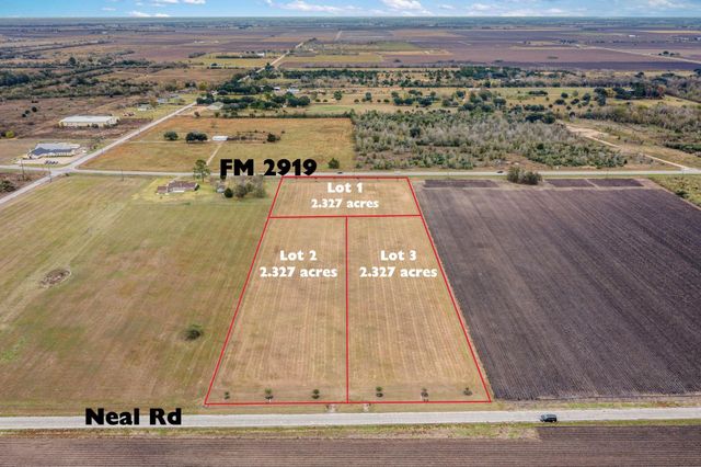 000 Fm 2919 Lot 1, Beasley, TX 77417